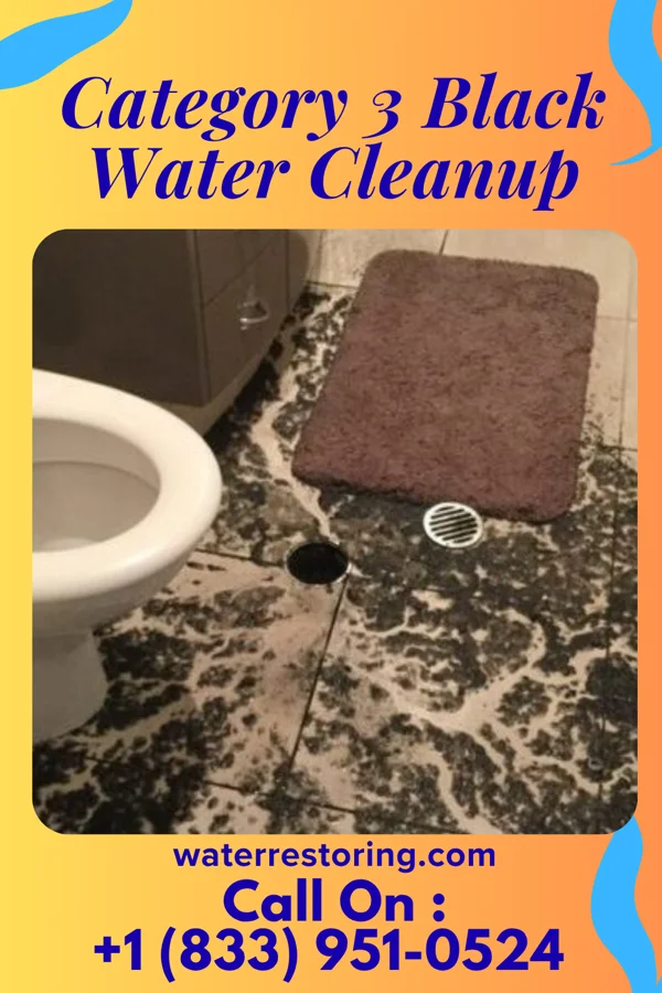 Category 3 Black Water Cleanup in Peabody, KS